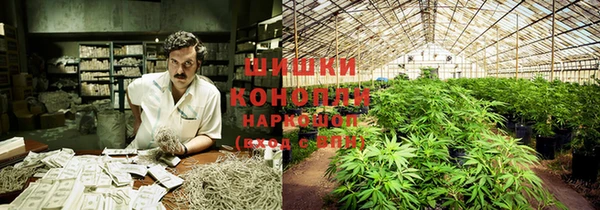 не бодяженный Белокуриха