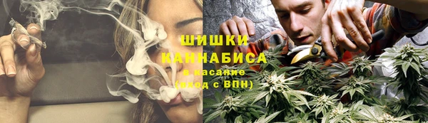 не бодяженный Белокуриха