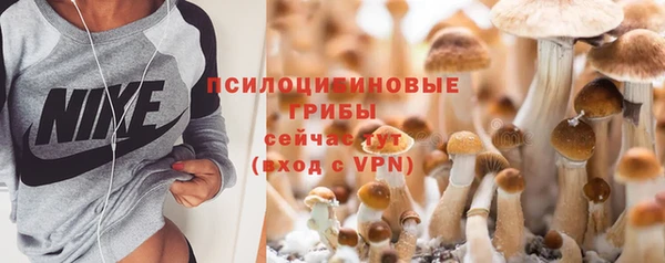 не бодяженный Белокуриха